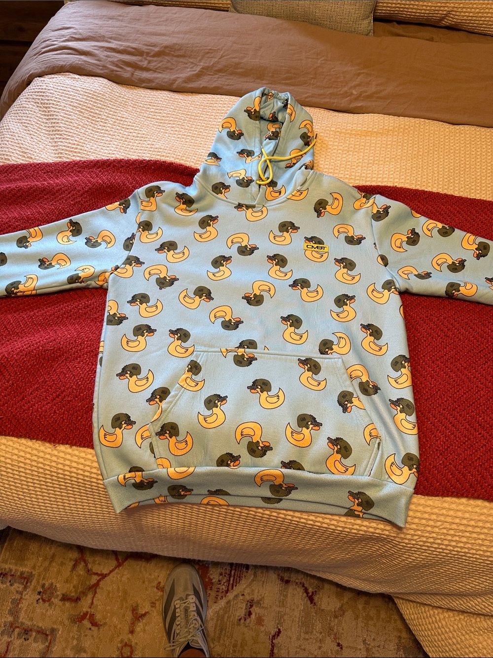 Light Blue Graphic Duck Print Hoodie